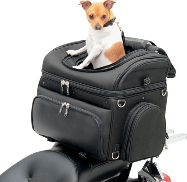 Pet Voyager - Image 12