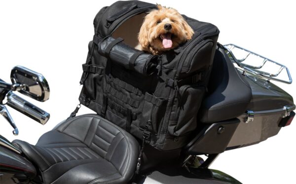 Pet Palace Titan - Image 10