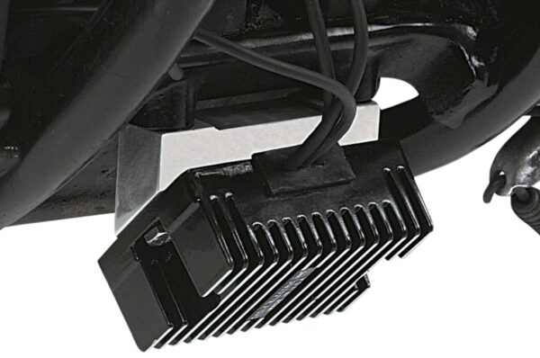 Custom Regulator Mount - Image 2