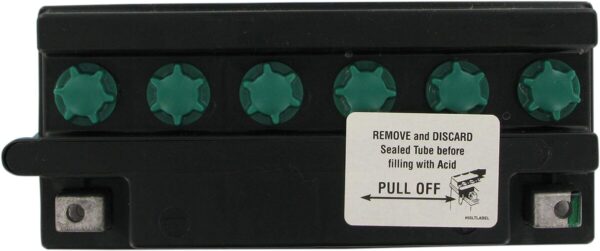 Conventional Battery - Image 2