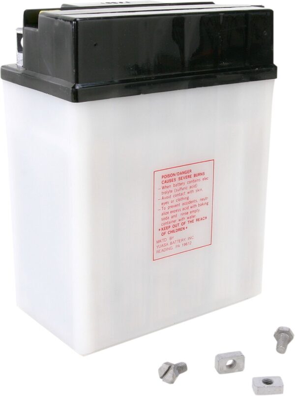 Conventional Battery - Image 2