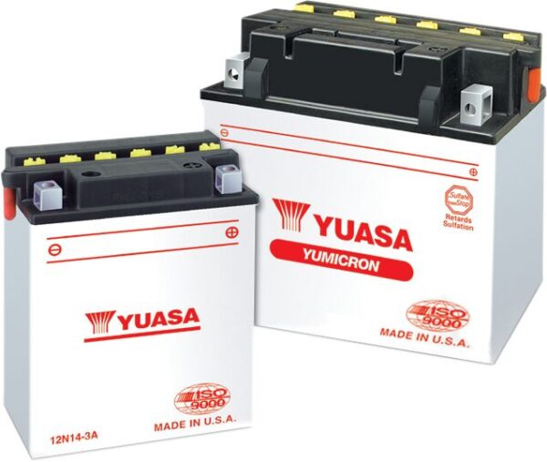 Conventional Battery - Image 2
